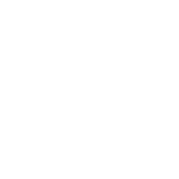 Bremsencheck Autohaus Schouren Icon weiß