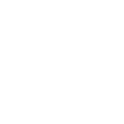 Wartungs- und Pflegearbeiten Autohaus Werkstatt Schouren Icon weiß