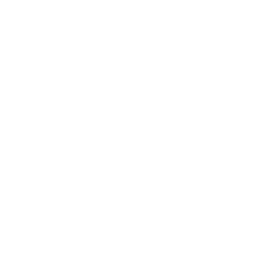 Steinschläge Autohaus Schouren Icon weiß