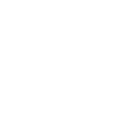 Unfallschäden Autohaus Schouren Icon weiß