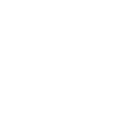 Lichttest Autohaus Schouren Icon weiß