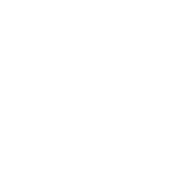 Elektrofahrzeuge Autohaus Schouren Icon weiß