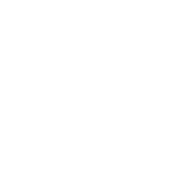 Achsvermessung Autohaus Schouren Icon weiß