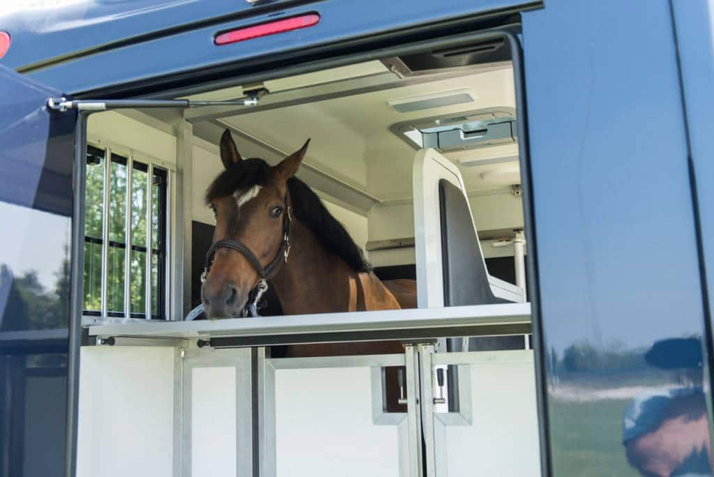 Renault Pferdetransporter von Horsetrucks Terhorst Autohaus Schouren