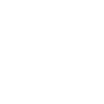 Renault Logo weiß Autohaus Schouren